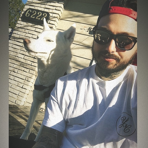 Meet your Posher, Connor - Picture 1 of 1